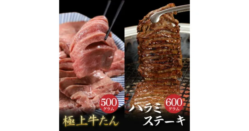 【ふるさと納税】肉厚牛たん(タン元)500gと牛ハラミステーキ600g(K6-032)【配送不可地域：離島】【1405513】