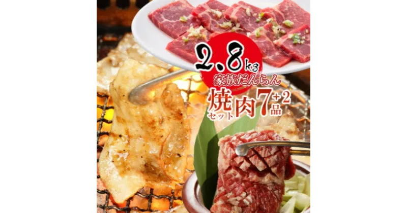 【ふるさと納税】やまなか家の家族だんらん焼肉セット 全7種+2品 計2.8kg たれ2種付(K3-006)【配送不可地域：離島】【1414194】