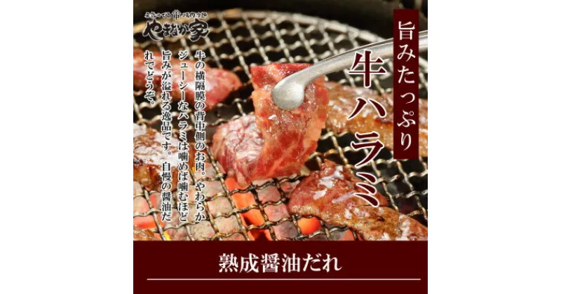 【ふるさと納税】やまなか家の旨みたっぷり牛ハラミ【熟成醤油だれ】600g(K2-028)【配送不可地域：離島】【1405429】