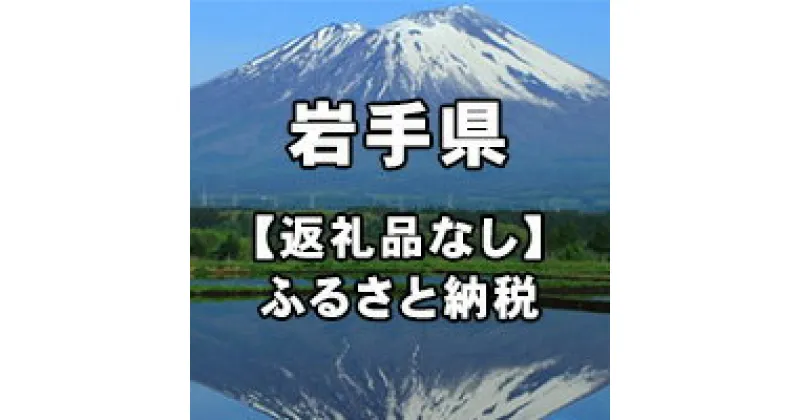 【ふるさと納税】岩手県への寄付（返礼品はありません）