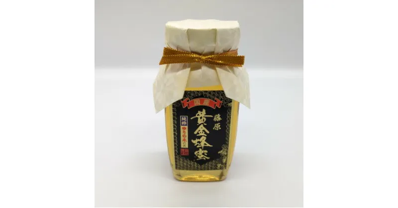 【ふるさと納税】藤原 黄金蜂蜜「ゆりの木」　550g【1487809】