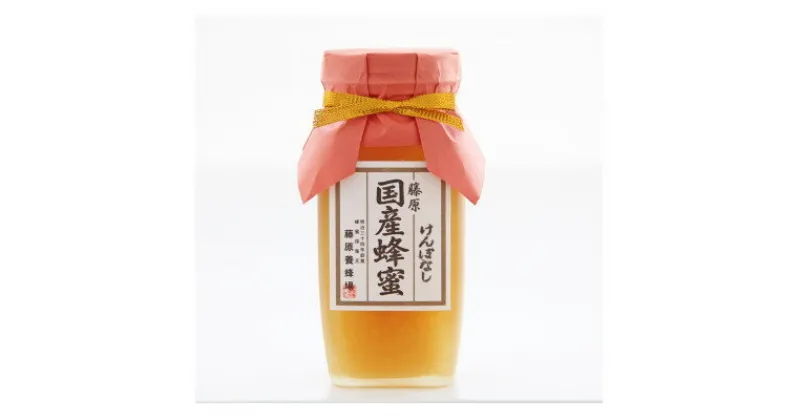 【ふるさと納税】藤原 国産蜂蜜「けんぽなし」　550g【1487810】