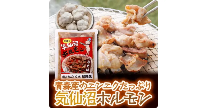 【ふるさと納税】気仙沼ホルモンみそ味300g×2P【配送不可地域：離島】【1344292】