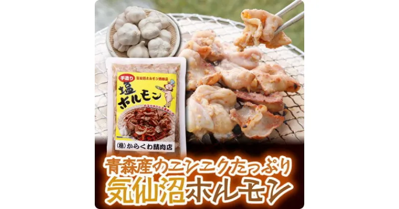 【ふるさと納税】気仙沼ホルモンしお味300g×2P【配送不可地域：離島】【1344297】