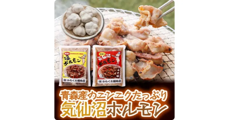 【ふるさと納税】気仙沼ホルモンみそ味300g・しお味300gセット【配送不可地域：離島】【1344312】