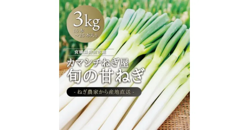 【ふるさと納税】カマシチねぎ屋 旬の甘ねぎ 3kg【1381451】