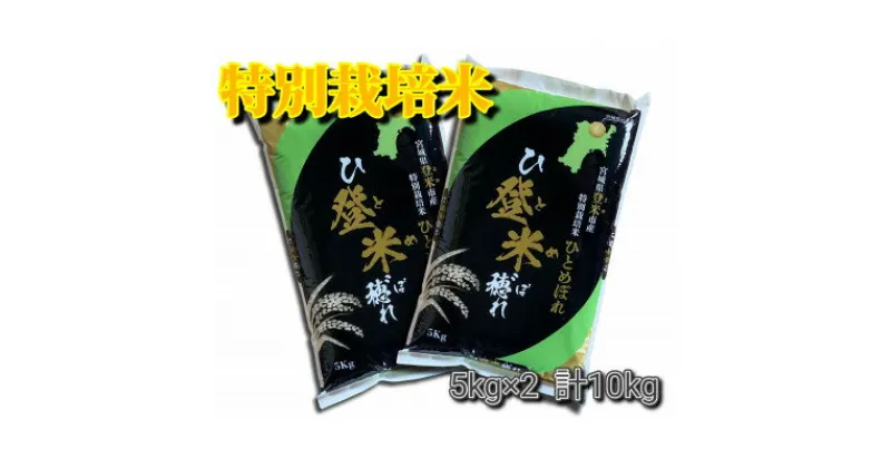 【ふるさと納税】【令和6年産】宮城県登米市産　特別栽培米ひとめぼれ10kg(5kg×2)【1397558】