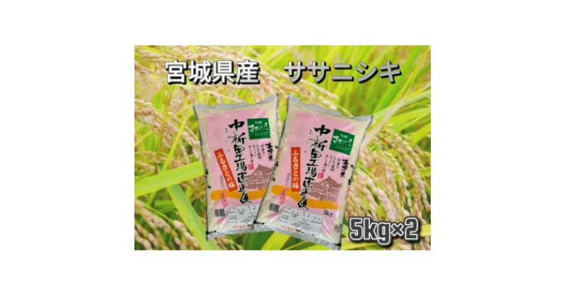 【ふるさと納税】【令和6年産】宮城県産　ササニシキ　精米　10kg(5kg×2)【1458333】