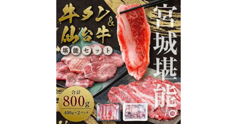 【ふるさと納税】【お肉の宮城県堪能セット】国産牛タン塩味・仙台牛切り落とし　各400g【配送不可地域：離島】【1463087】