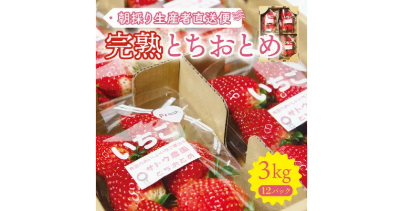 【ふるさと納税】【完熟とちおとめ 3kg】糖度15度以上の宮城県産いちご 約250g×12パック 置き並べ【配送不可地域：離島】【1464379】