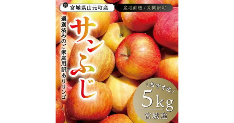 【ふるさと納税】宮城県産 ご家庭用 サンふじ5kg(11～20玉入り)生産者選別済みのリンゴ【1461381】