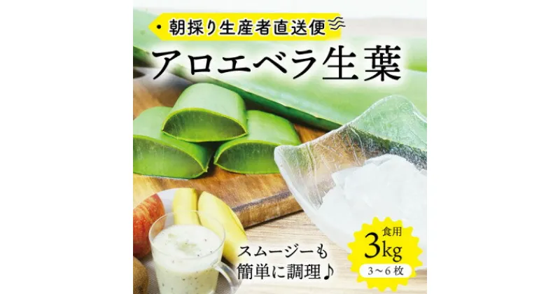 【ふるさと納税】【食用】朝採り アロエベラ生葉 3kg(3枚～6枚)3年物 宮城県産【1461383】