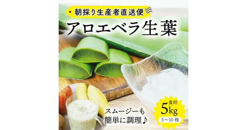 【ふるさと納税】【食用】朝採り アロエベラ生葉 5kg(5枚～10枚)3年物 宮城県産【1461384】