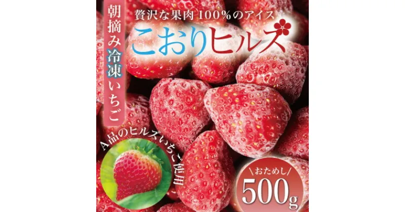 【ふるさと納税】完熟朝摘み冷凍いちご『こおりヒルズ』500g【ヘタなし・急速冷凍】宮城のいちご農家から直送【配送不可地域：離島】【1497567】