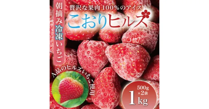 【ふるさと納税】完熟朝摘み冷凍いちご『こおりヒルズ』1kg【ヘタなし・急速冷凍】宮城のいちご農家から直送【配送不可地域：離島】【1497568】