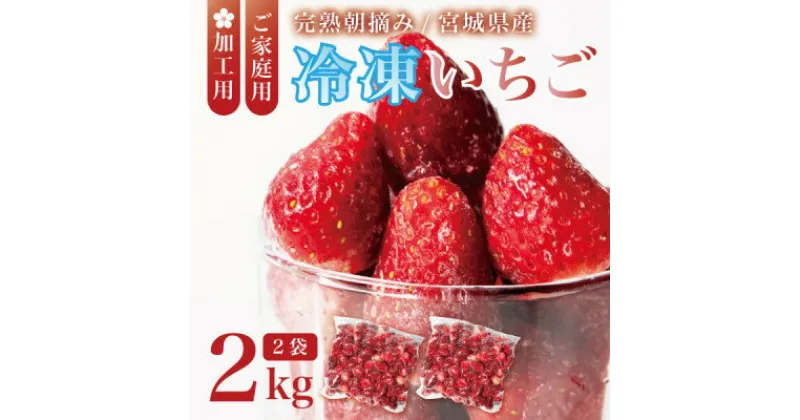 【ふるさと納税】宮城県産 完熟冷凍いちご 2kg(1kg×2袋)【加工用・ご家庭用】ヘタ無しで便利♪通年出荷【配送不可地域：離島】【1497570】