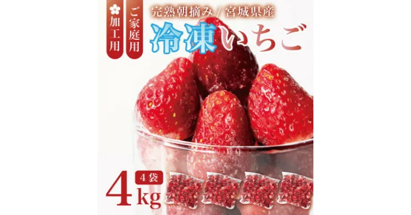 【ふるさと納税】宮城県産 完熟冷凍いちご 4kg(1kg×4袋)【加工用・ご家庭用】ヘタ無しで便利♪通年出荷【配送不可地域：離島】【1497571】