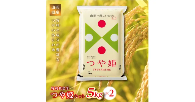【ふるさと納税】 《ふるさとの極み》山形県産 つや姫セット 10kg(5kg×2) 米 お米 コメ ごはん ご飯 食品 山形県 F2Y-1180