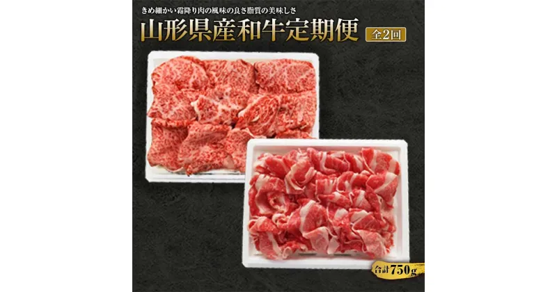 【ふるさと納税】《定期便》山形県で育ったお肉2カ月連続で届けます 合計750g F2Y-1419