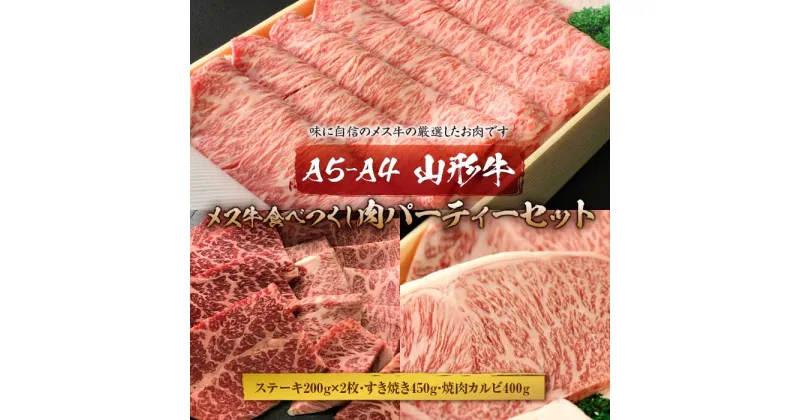 【ふるさと納税】A5-A4 山形牛メス牛食べつくし 肉パーティーセット F2Y-1755