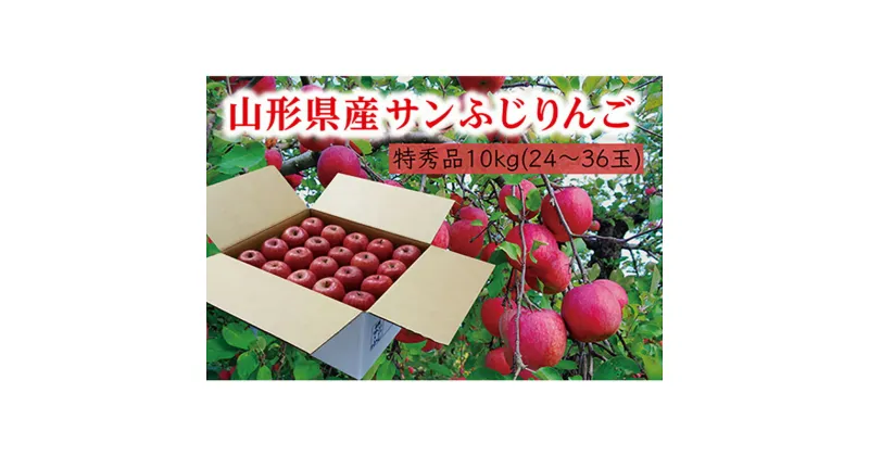 【ふるさと納税】《先行予約 2024年度発送》【山形県産】サンふじりんご特秀品10kg りんご リンゴ 林檎 デザート フルーツ 果物 くだもの 果実 食品 山形県 FSY-0403