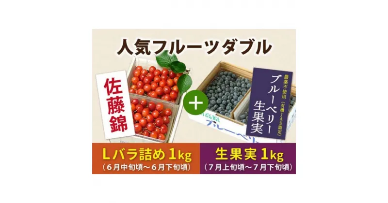 【ふるさと納税】 《先行予約 2025年度発送》山形人気フルーツダブル（さくらんぼ佐藤錦1kg &ブルーベリー生果実1kg） FSY-0149