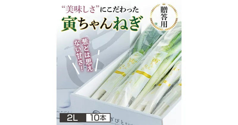 【ふるさと納税】【ねぎびとカンパニー】《先行予約》 贈答用 山形県産 寅ちゃんねぎ 2Lサイズ 10本入(2本×5袋) 2024年12月初旬から順次発送 葱 ねぎ ネギ 野菜 食品 山形県 F2Y-5336