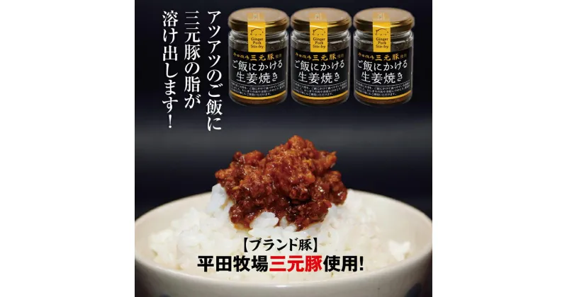 【ふるさと納税】山形県のブランド豚・平田牧場の三元豚を使った「ご飯にかける生姜焼き」3個セット ご飯のお供に、料理の味付けにどうぞ F2Y-3173