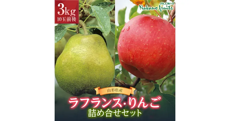 【ふるさと納税】【仲野観光果樹園】《先行予約》2024年 山形県産 ラ・フランスとりんごの詰め合わせセット3kg(10玉前後)　2024年11月上旬から順次発送 りんご リンゴ 林檎 デザート フルーツ 果物 くだもの 果実 食品 山形県 F2Y-3238