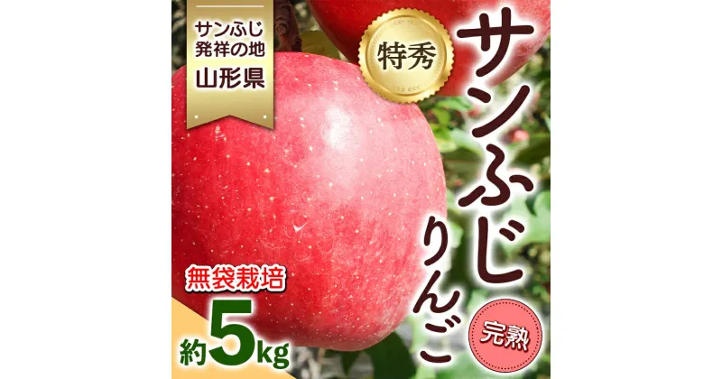 【ふるさと納税】 サンふじ発祥の地 山形県産 特秀サンふじりんご 約5kg 完熟 無袋 FSY-0868