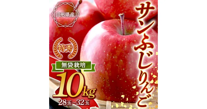 【ふるさと納税】 サンふじ発祥の地 山形県産 特秀サンふじりんご 約10kg 完熟 無袋 FSY-0870