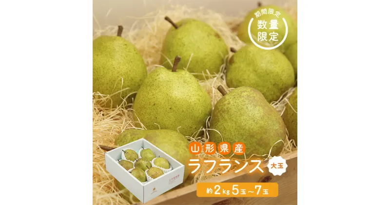 【ふるさと納税】《先行予約 2024年度発送》【王将果樹園】ラフランス大玉2kg〜生産量日本一のまちより〜 なし ナシ 梨 デザート フルーツ 果物 くだもの 果実 食品 山形県 FSY-0066