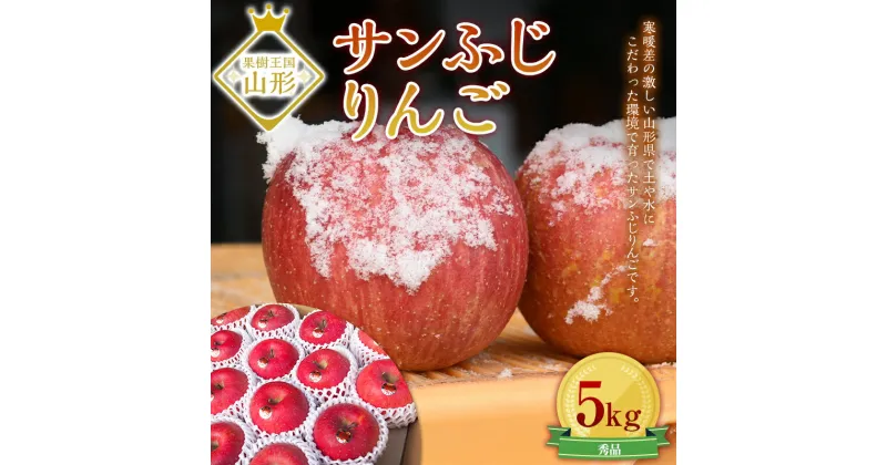 【ふるさと納税】サンふじりんご 5kg (約16〜20玉) ギフト箱入り 山形県産 《先行予約 2024年11月中旬から発送開始》 りんご リンゴ 林檎 デザート フルーツ 果物 くだもの 果実 食品 山形県 FSY-0196