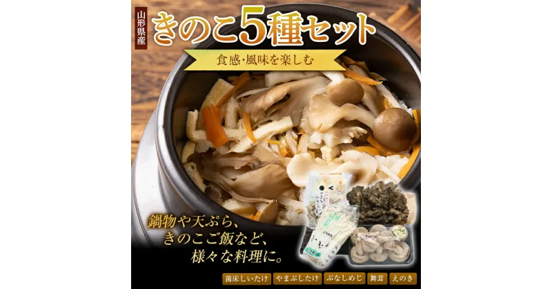 【ふるさと納税】山形県産 食感・風味を楽しむ【きのこ5種セット】 F2Y-3325