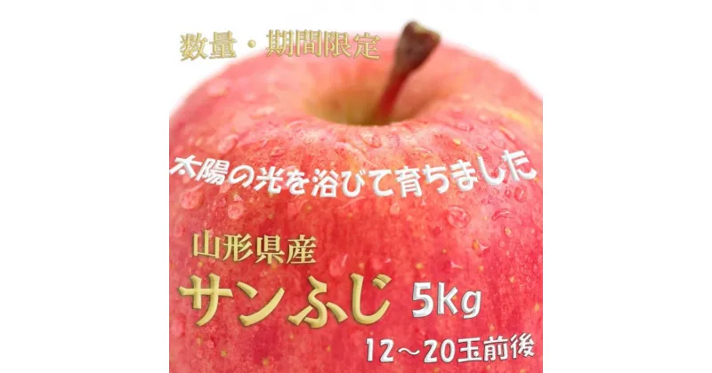 【ふるさと納税】《先行予約 2024年度発送》 ※数量・期間限定※ 山形県産りんご サンふじ 秀品 約5kg 12玉〜20玉前後 りんご リンゴ 林檎 デザート フルーツ 果物 くだもの 果実 食品 山形県 FSY-0367