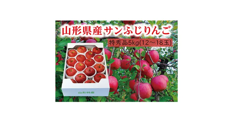 【ふるさと納税】《先行予約 2024年度発送》【山形県産】サンふじりんご特秀品5kg りんご リンゴ 林檎 デザート フルーツ 果物 くだもの 果実 食品 山形県 FSY-0406