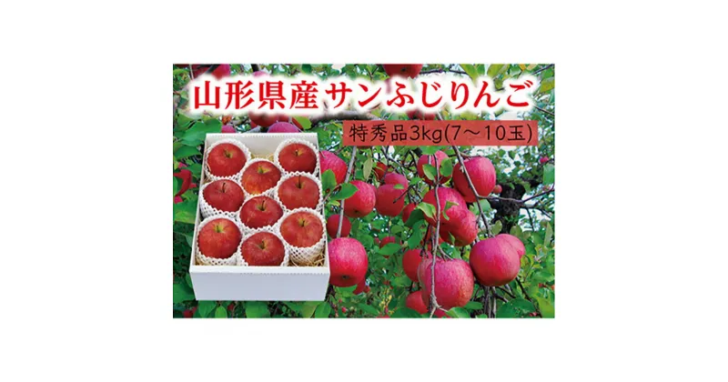 【ふるさと納税】《先行予約 2024年度発送》【山形県産】サンふじりんご特秀品3kg りんご リンゴ 林檎 デザート フルーツ 果物 くだもの 果実 食品 山形県 FSY-0408