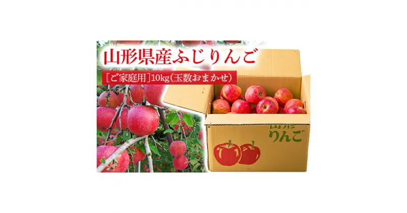 【ふるさと納税】《先行予約 2024年度発送》【ご家庭用】山形県産のサンふじりんご10kg（玉数おまかせ） りんご リンゴ 林檎 デザート フルーツ 果物 くだもの 果実 食品 山形県 FSY-0409