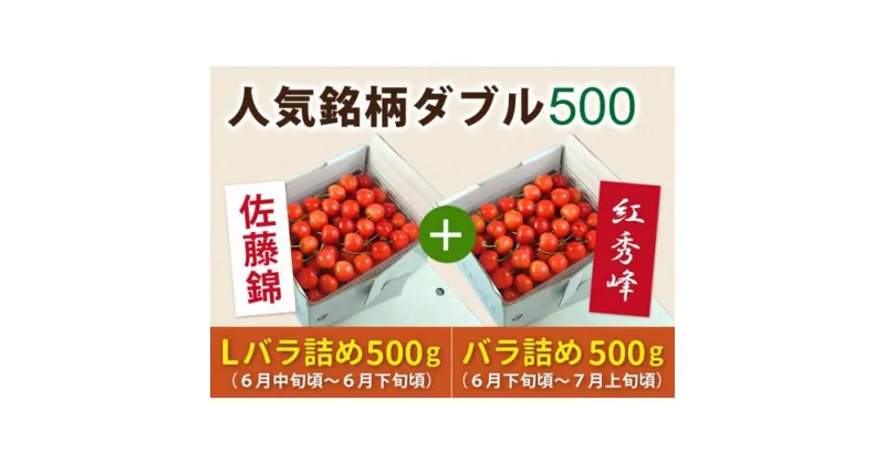 【ふるさと納税】 《先行予約 2025年度発送》【頒布会】さくらんぼ人気銘柄ダブル500(佐藤錦&紅秀峰) FSY-0155