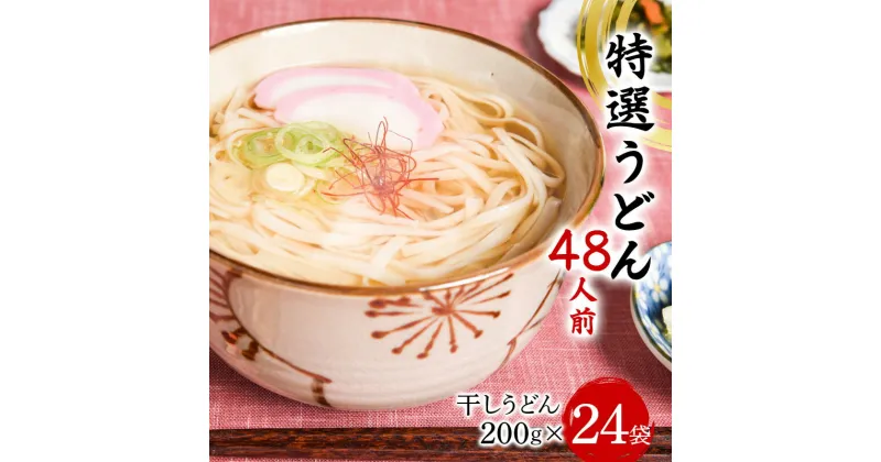 【ふるさと納税】 特選うどん 48人前 （200g×24袋） 大沼製麺所 F2Y-3456