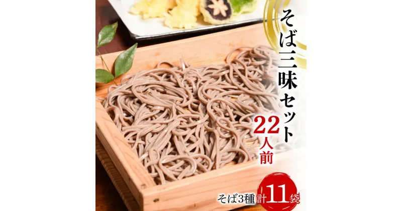 【ふるさと納税】 そば三昧セット 22人前 （計11袋） 大沼製麺所 F2Y-3461