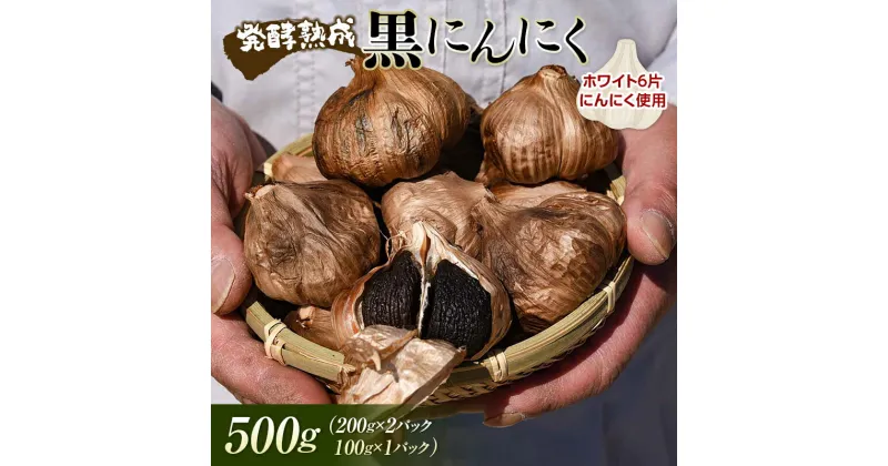 【ふるさと納税】 発酵熟成 黒にんにく 500g （200g×2パック＋100g×1パック） F2Y-3490