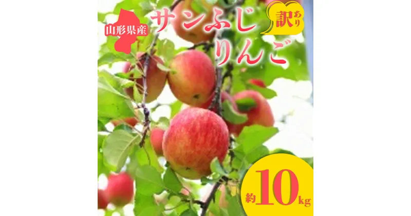 【ふるさと納税】≪2024年先行予約≫ 訳あり サンふじりんご 約10kg りんご リンゴ 林檎 デザート フルーツ 果物 くだもの 果実 食品 山形県 FSY-0679