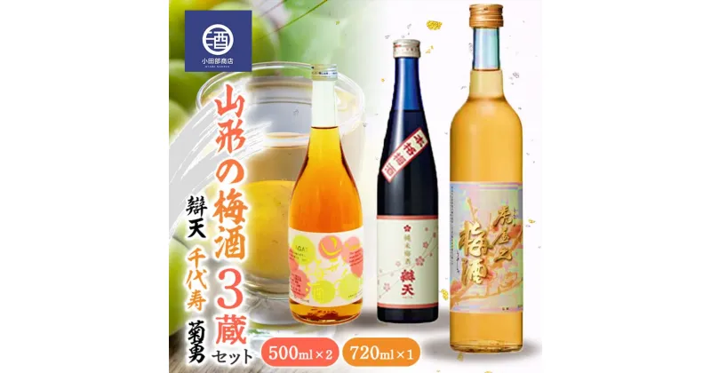 【ふるさと納税】 山形の梅酒 3蔵セット 500ml ＆ 720ml 辯天 千代寿 菊勇 F2Y-3528