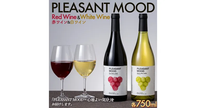 【ふるさと納税】 【南東北サンシャインファーム】PLEASANT MOOD Red Wine ＆ White Wine 赤白ワインセット 各750ml F2Y-5581