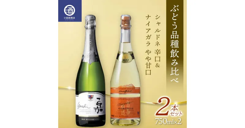 【ふるさと納税】 ぶどう品種飲み比べ シャルドネ 辛口 ナイアガラ やや甘口 2本セット F2Y-3602