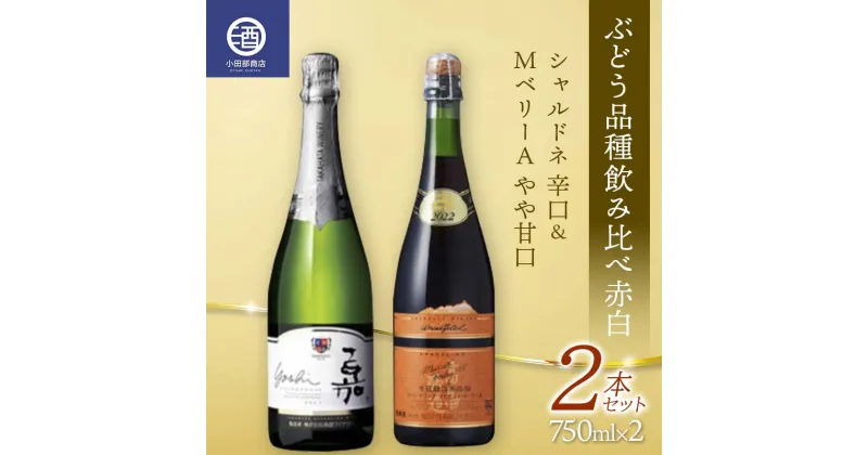 【ふるさと納税】 ぶどう品種飲み比べ赤白 シャルドネ 辛口 MベリーA やや甘口 2本セット F2Y-3603