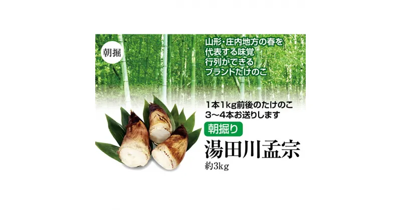 【ふるさと納税】 【先行予約 2025年5月発送】行列ができる山形・庄内地方の春の名物ブランドたけのこ 朝堀り 湯田川孟宗 約3kg（3～4本） FSY-1181