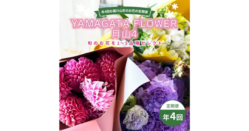 【ふるさと納税】 年4回お届け山形のお花の定期便 YAMAGATA FLOWER 月山4 F2Y-3725