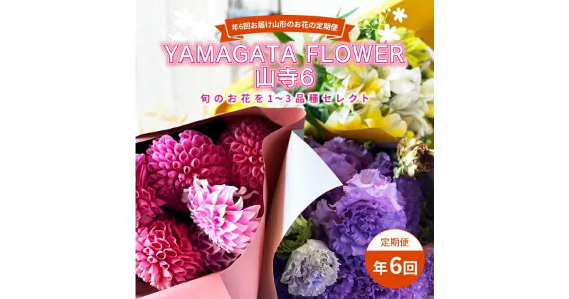 【ふるさと納税】 年6回お届け山形のお花の定期便 YAMAGATA FLOWER 山寺6 F2Y-3726